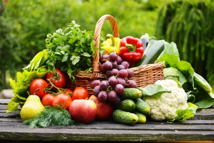 Basket Filled with Organic Fruit and Vegetables Overflowing out of Basket. Greenery in Background